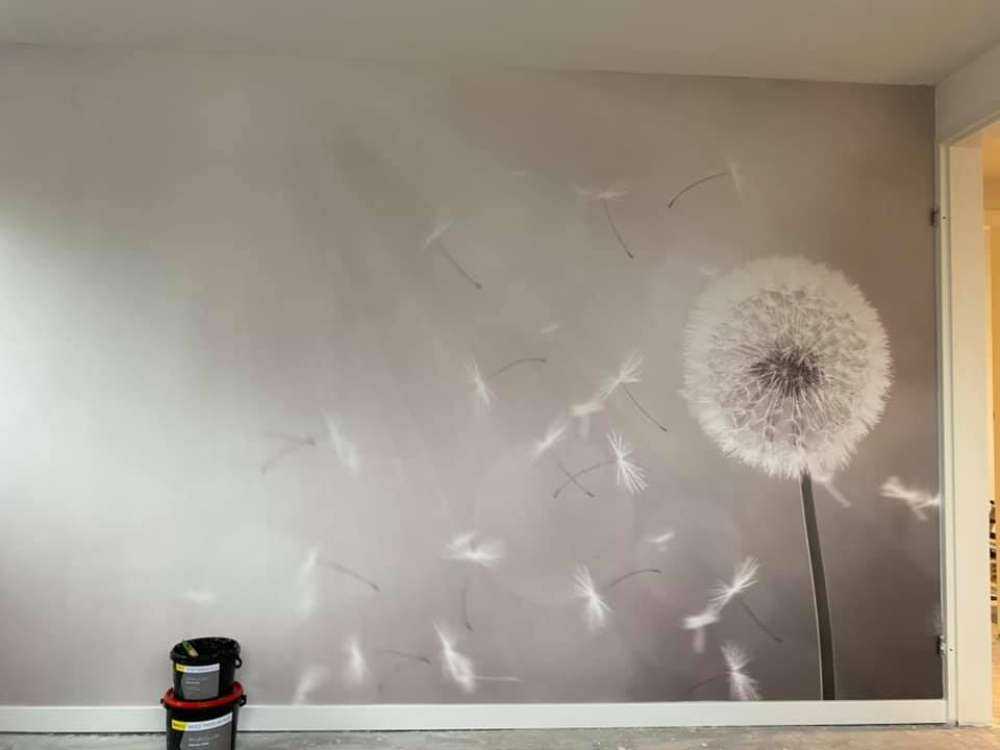 Dente di leone nel vento