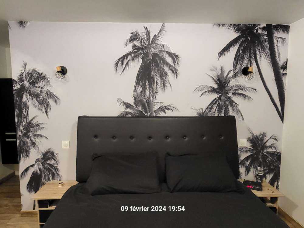 Palme in bianco e nero