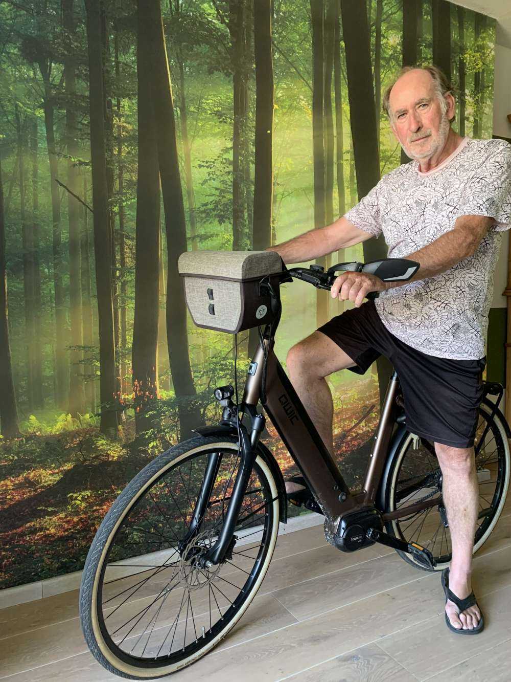 Il sole del mattino tra gli alberi