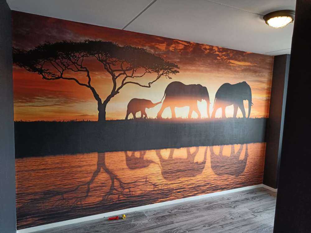 Elefanti nella savana