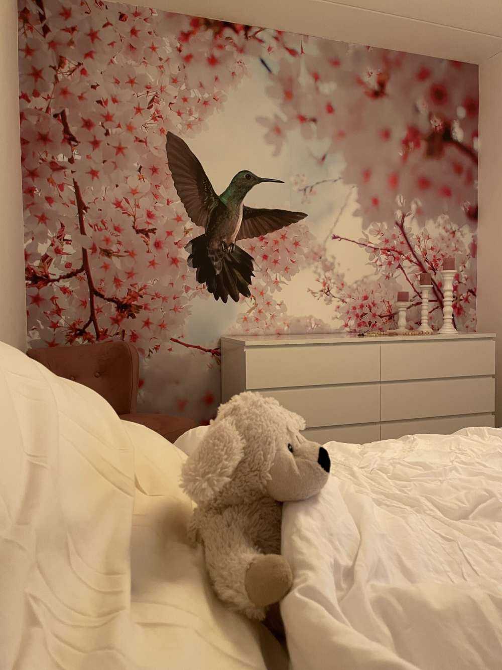 Colibrì tra i fiori