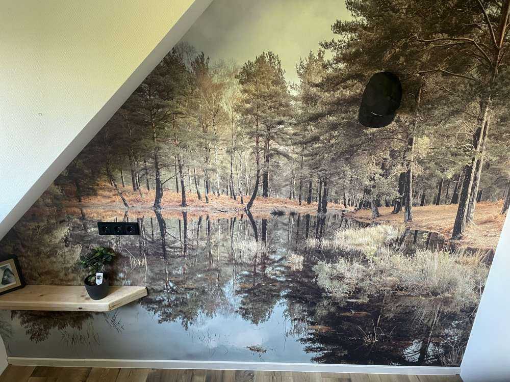 Milky way over lonely tree