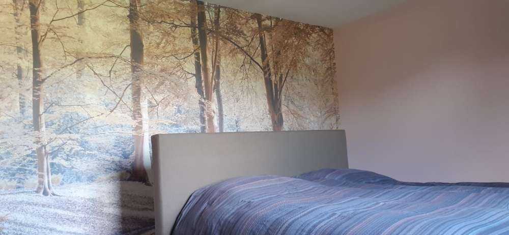 Ruscello nella foresta - pastello