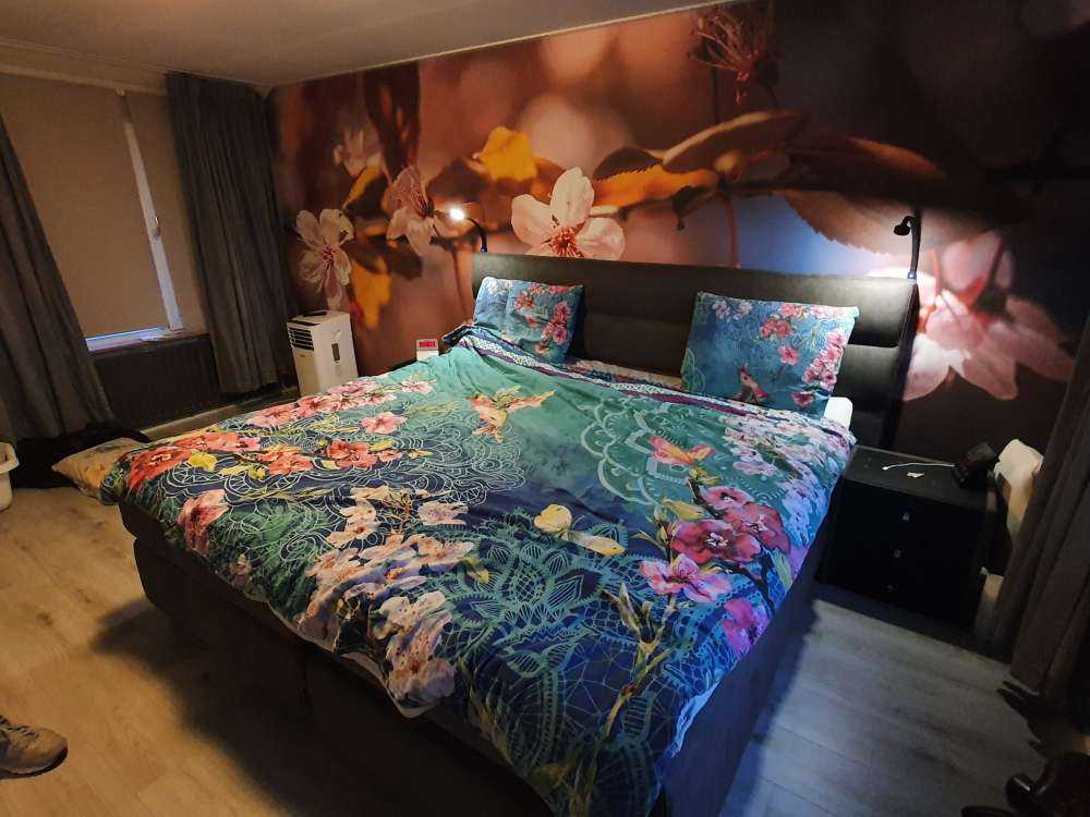 Fiori rosa e foglie marroni