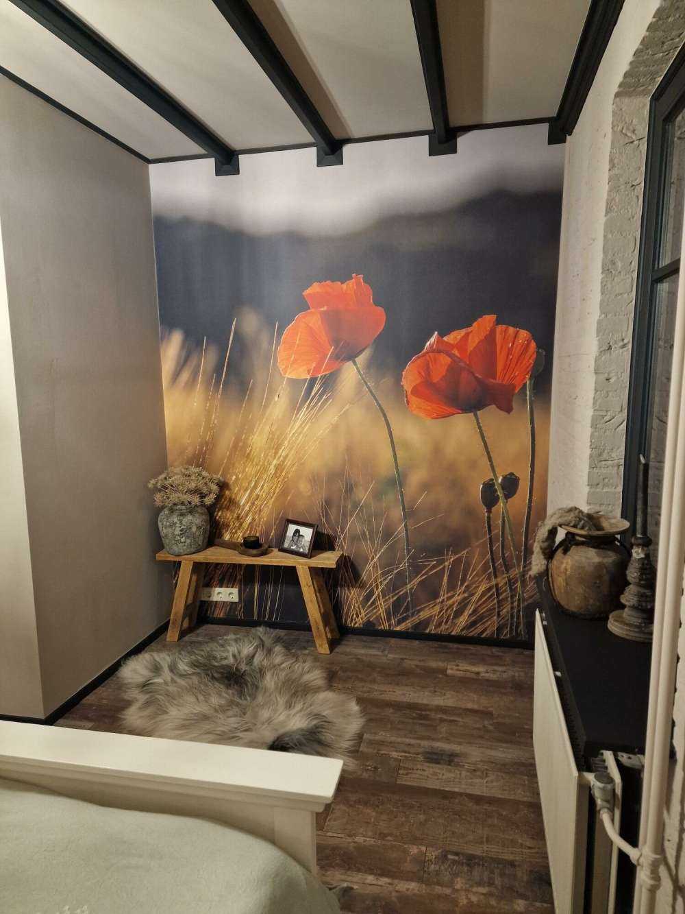 Papaveri in un campo di grano