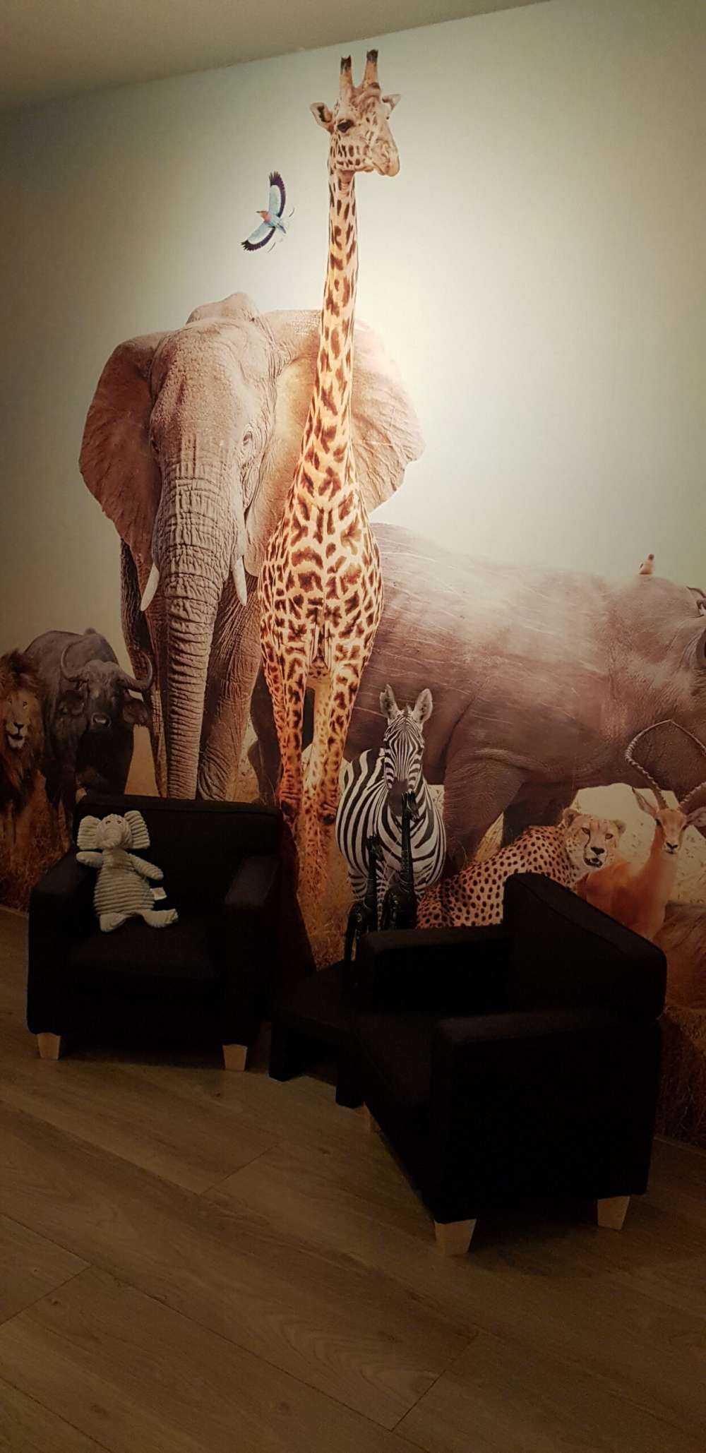 Animali nella savana