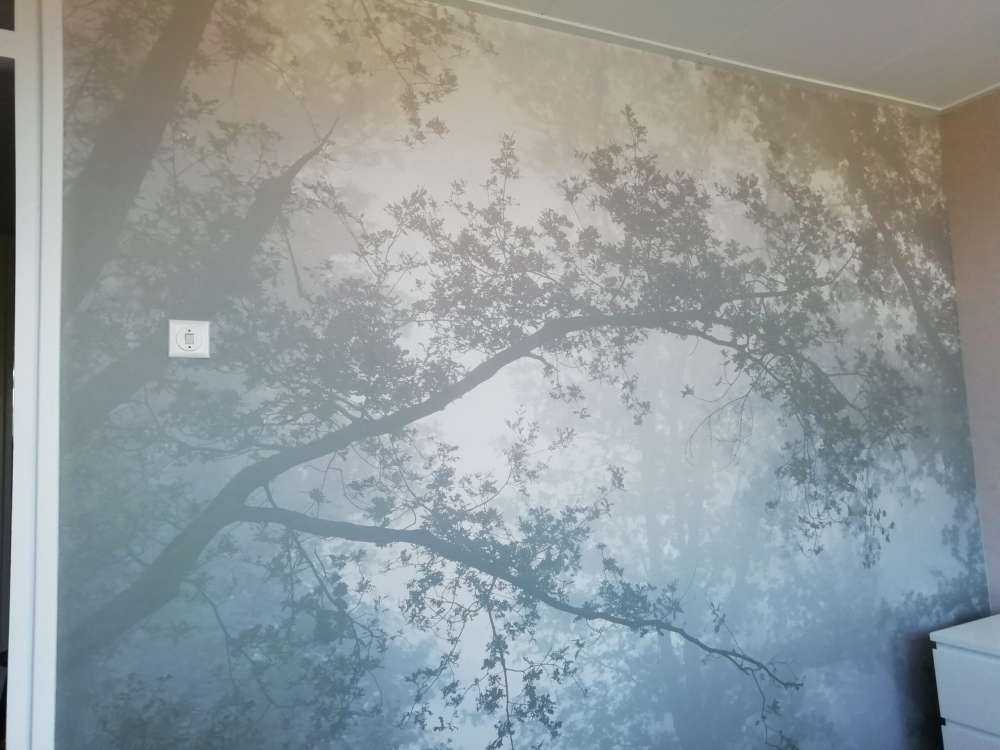 Una bella foresta nella nebbia