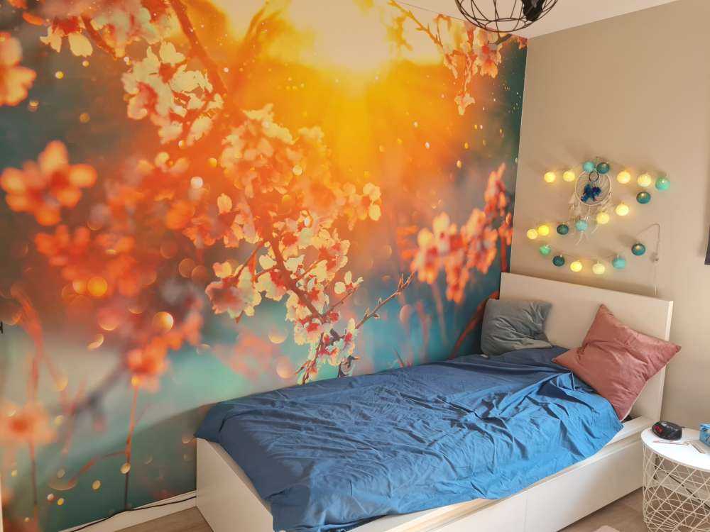 Fioritura in primavera