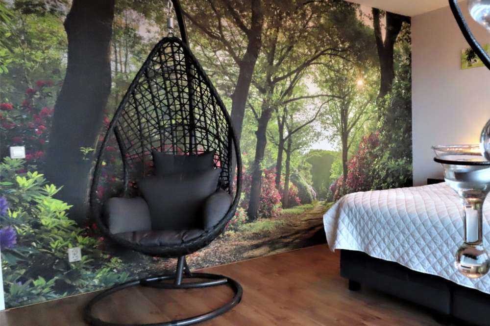 L'alba al sentiero con i rododendri