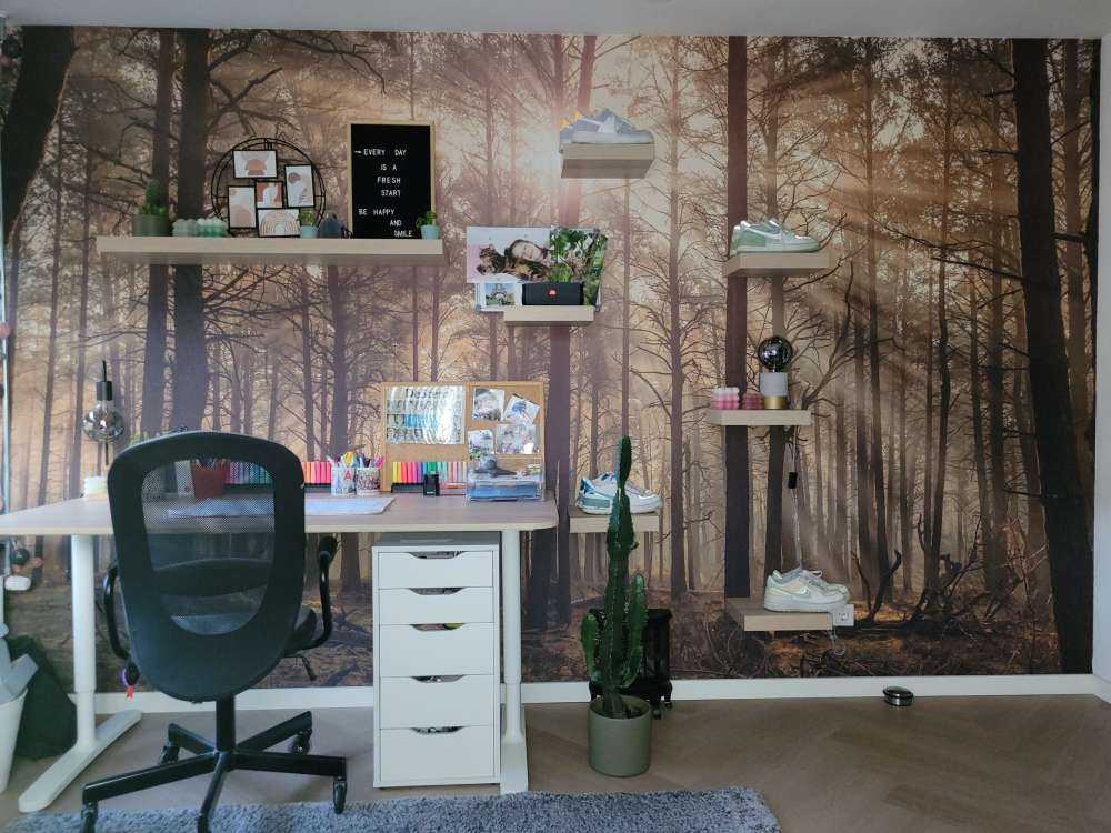 Foresta con alberi ad alto fusto