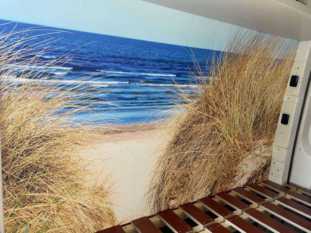 Dune
