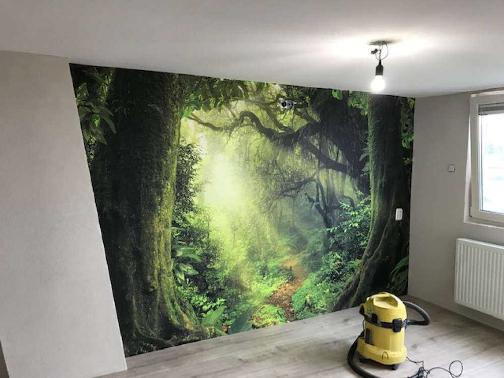 Giungla con raggi di sole