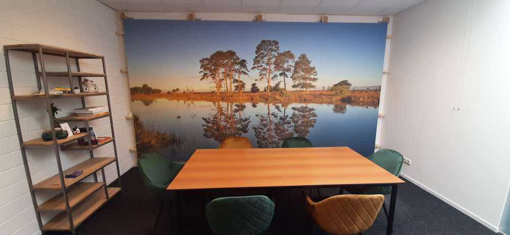 Riflessione nel lago della foresta