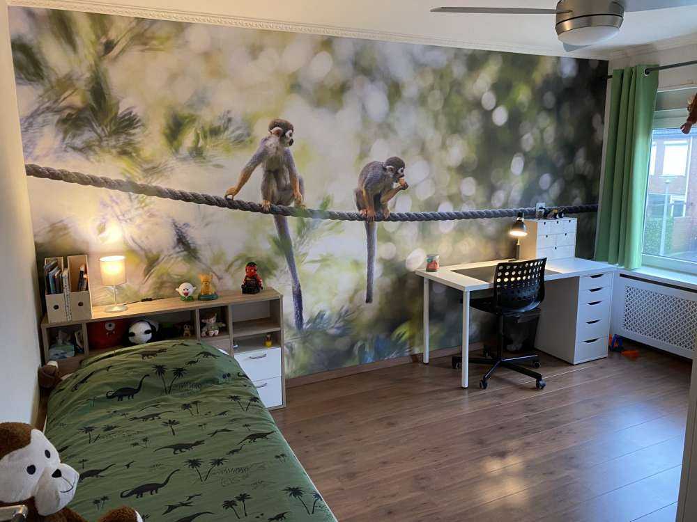 Scimmie scoiattolo su corda