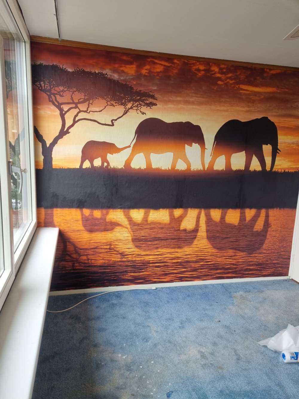 Elefanti nella savana