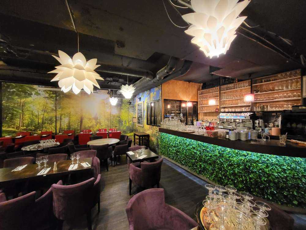 Foresta con raggi di sole