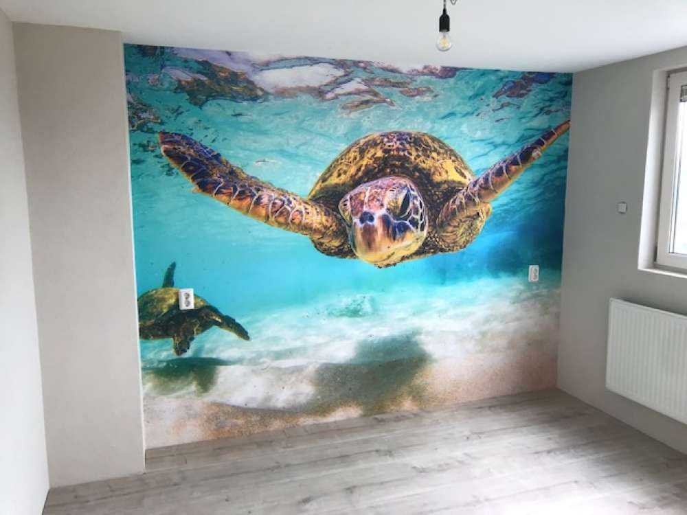 Tartaruga marina nell'oceano