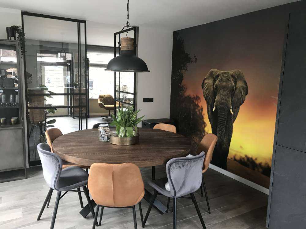 Elefante al tramonto
