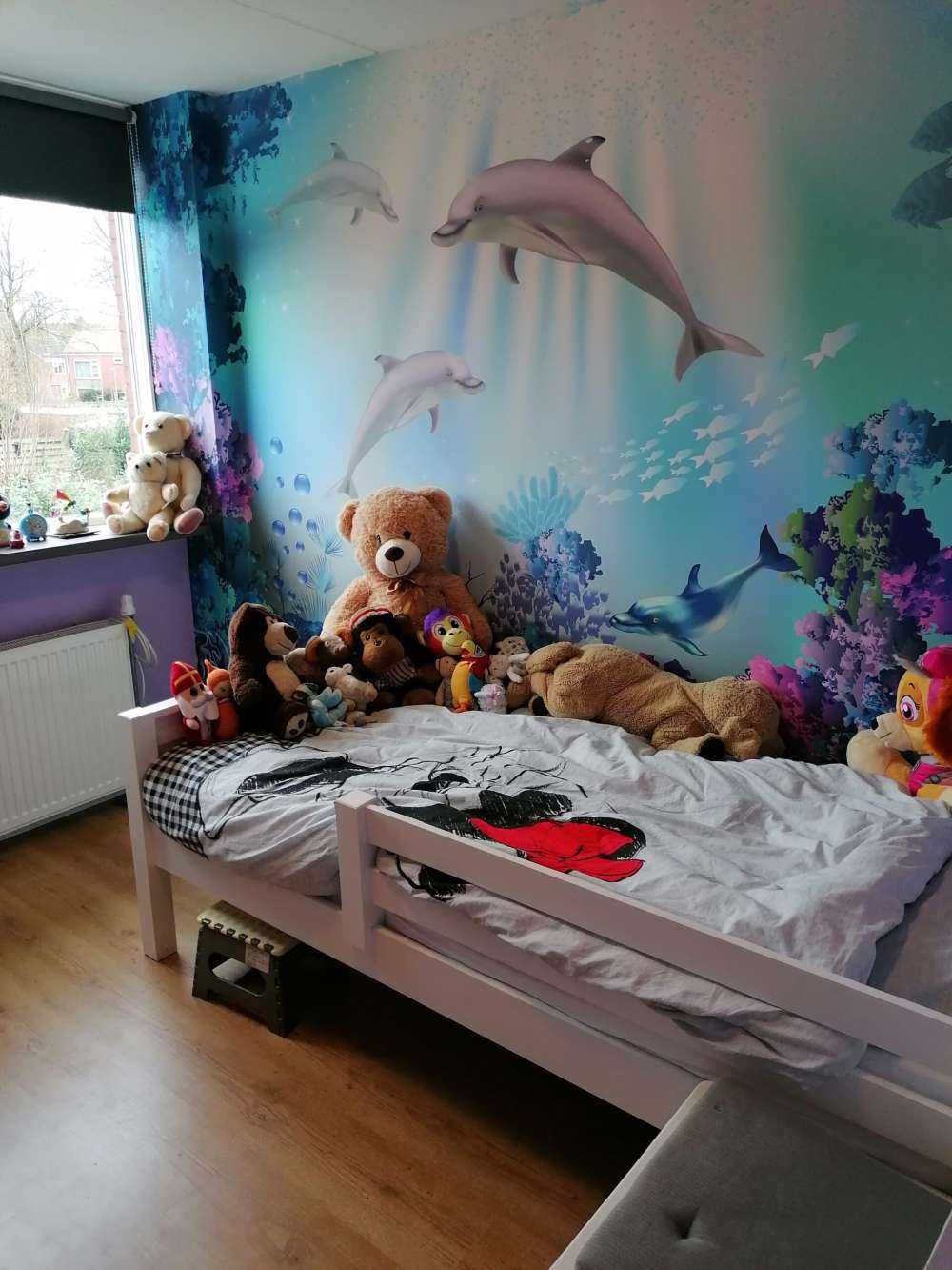 Mondo sommerso con i delfini