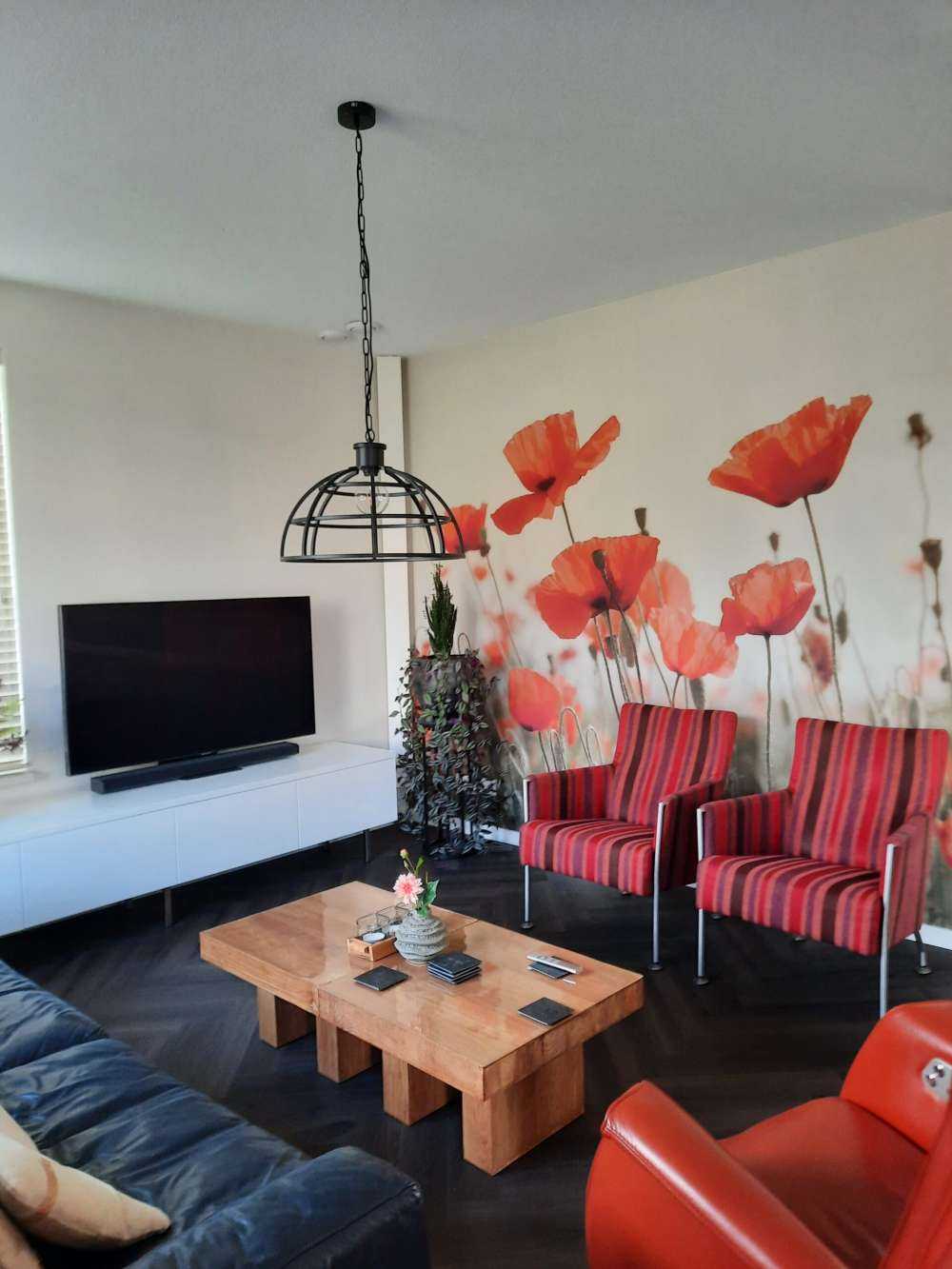 Papaveri in colori vintage