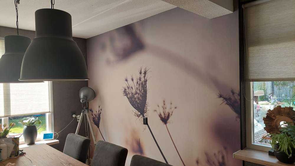 Silhouette di piante