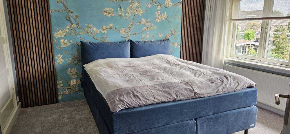 Mandorlo in fiore dipinto (Van Gogh)