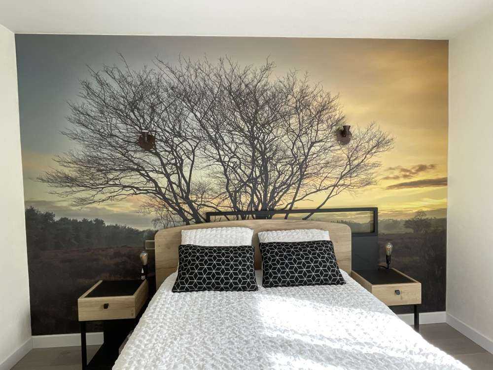 L'alba nella brughiera