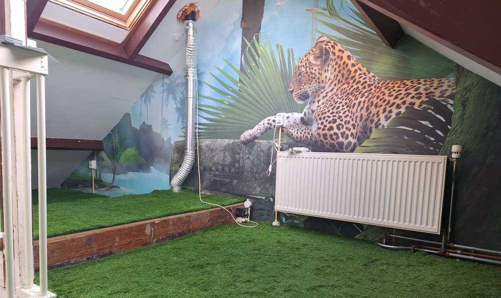 Laguna della giungla