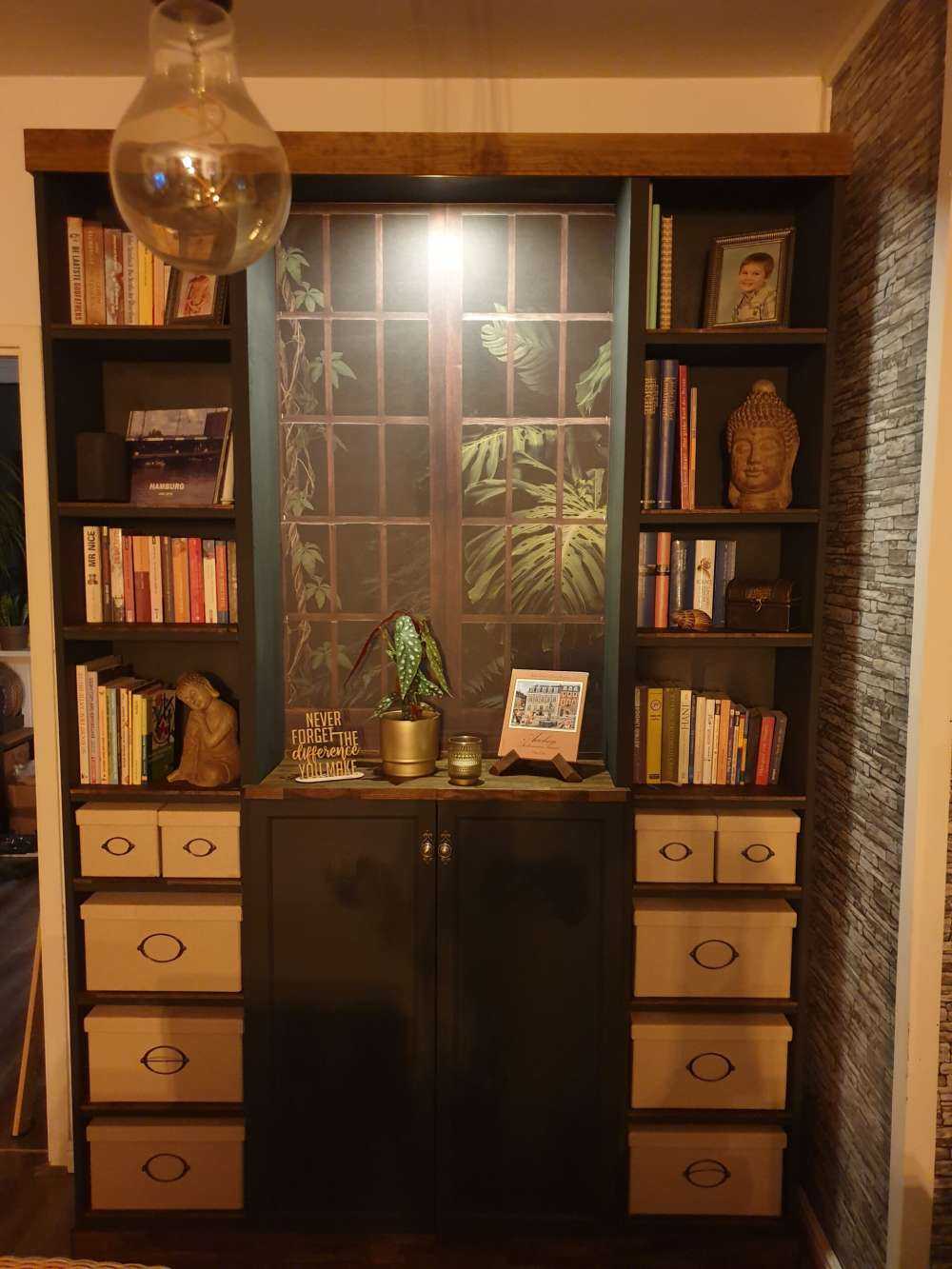 Piante botaniche dietro le finestre