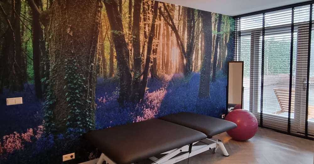 Sentiero della foresta all'alba