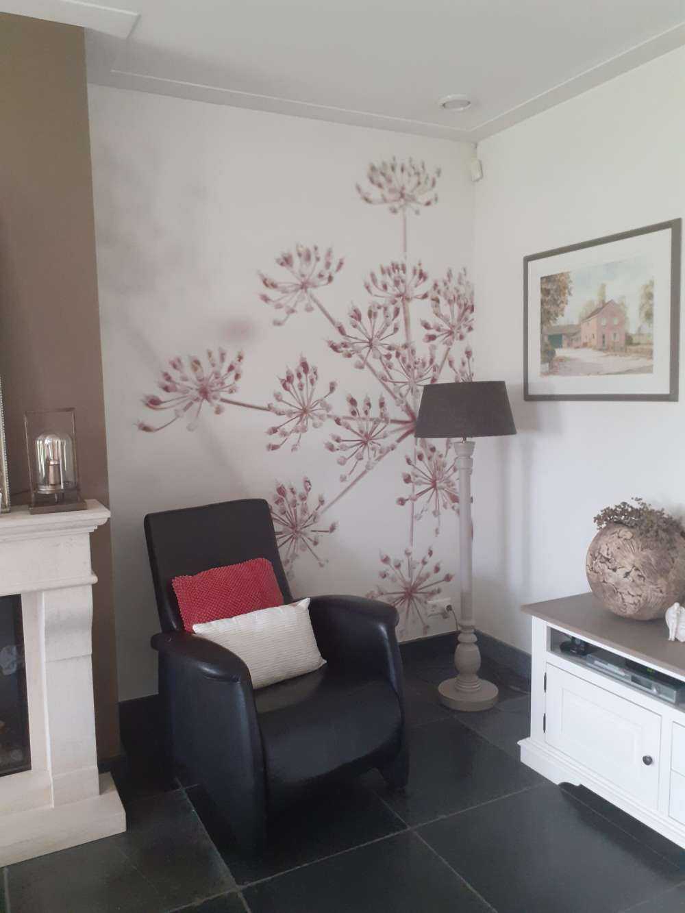 Prezzemolo di mucca ravvicinato