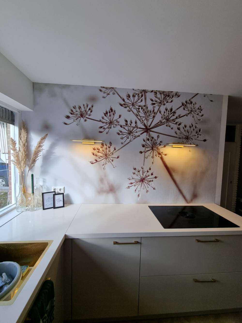 Prezzemolo di mucca ravvicinato