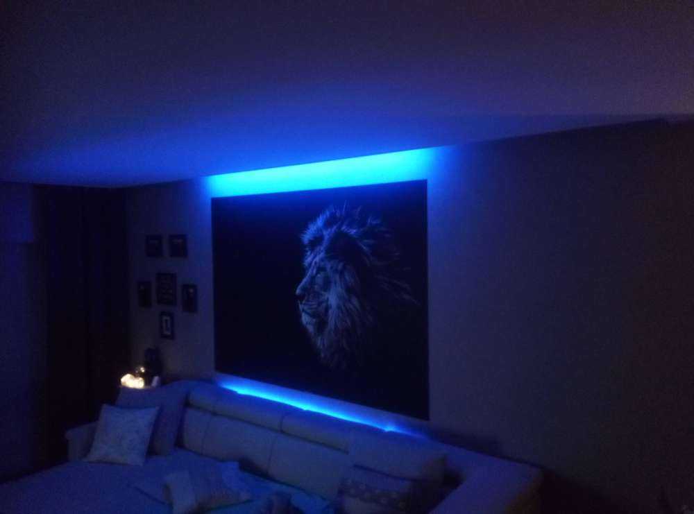 Leone con occhi azzurri