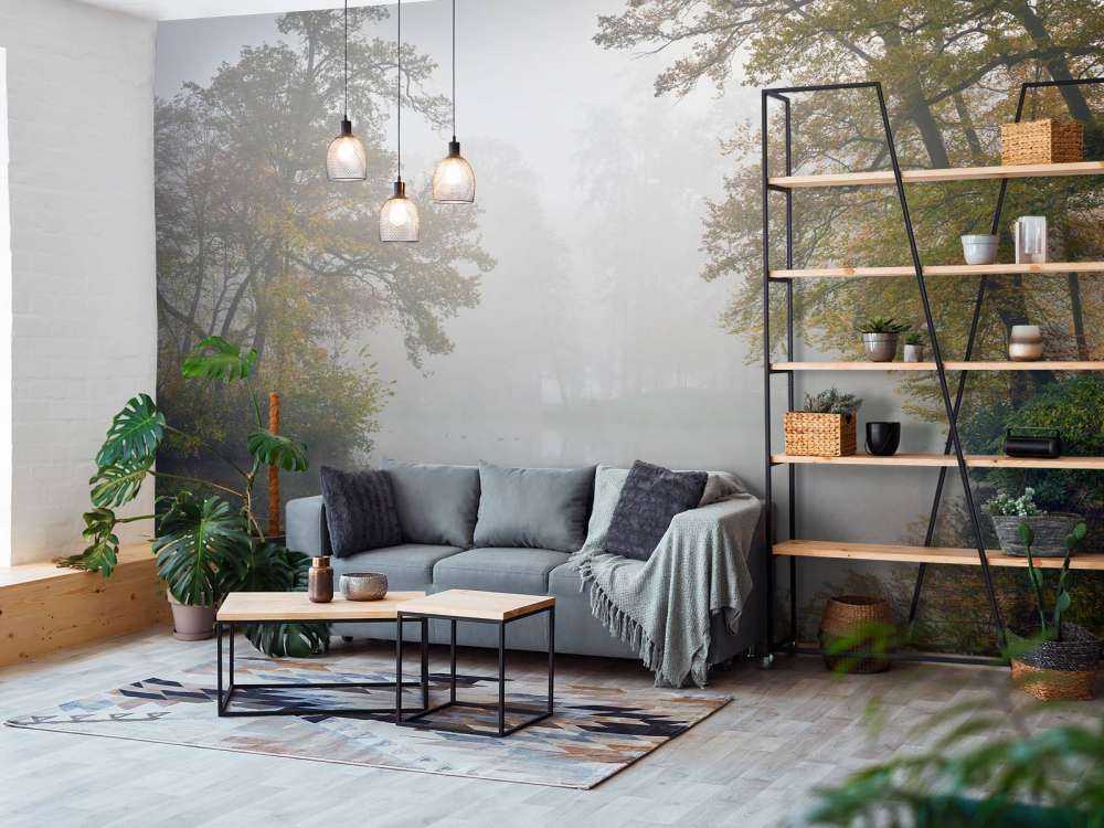 Stagno della foresta nella nebbia