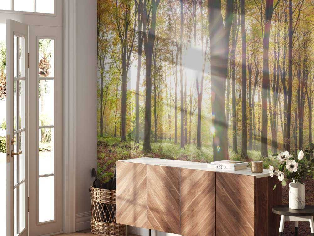 La luce del sole attraverso la foresta autunnale