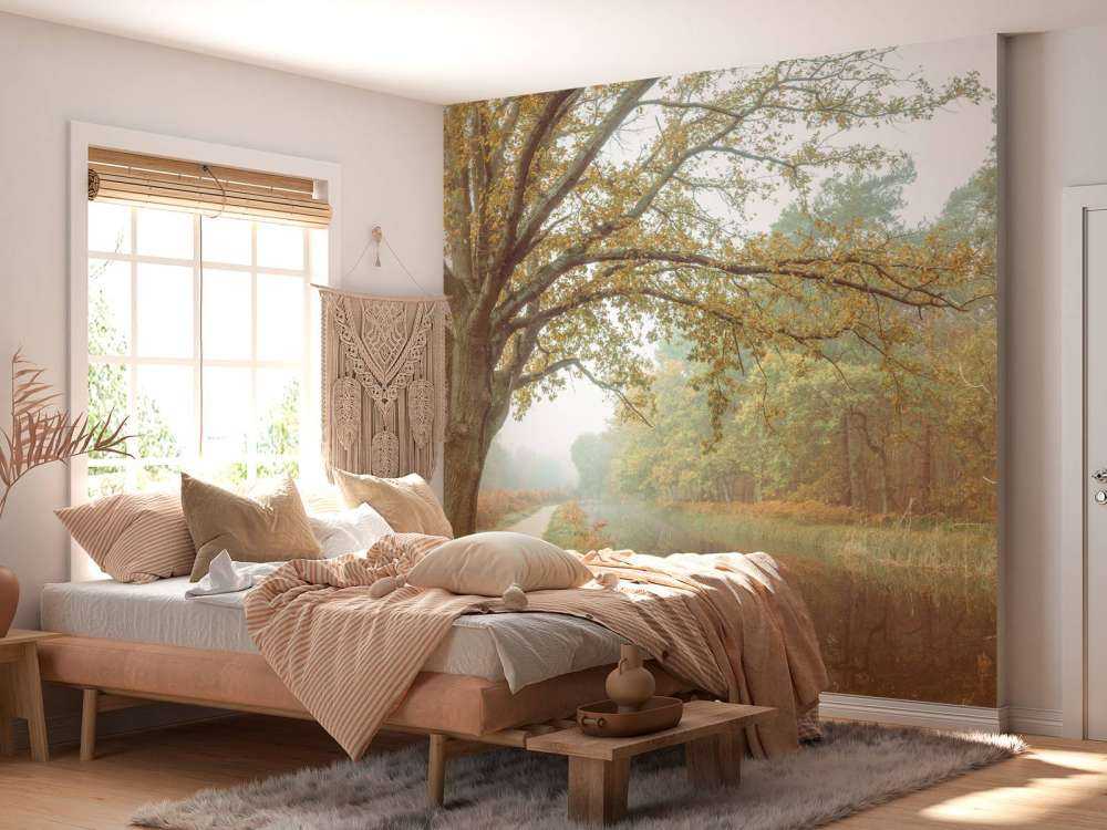 Lago nella foresta autunnale