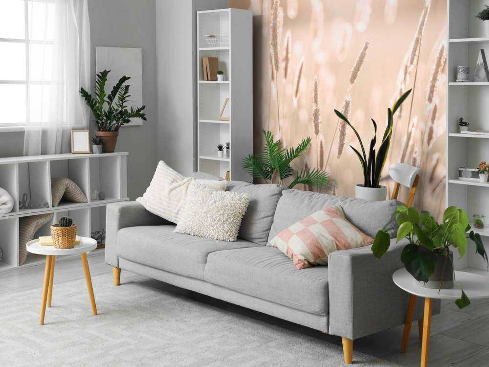 La luce del sole sul prato