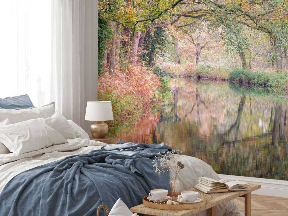 Foresta coperta e colorata