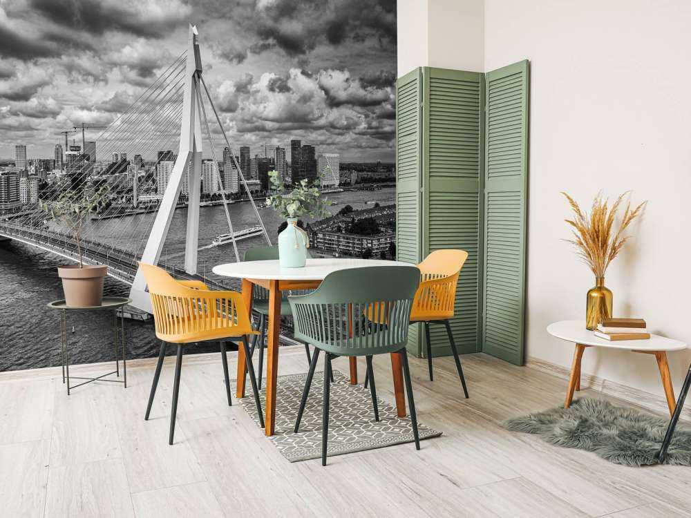 Il centro di Rotterdam da una grande altezza in bianco e nero