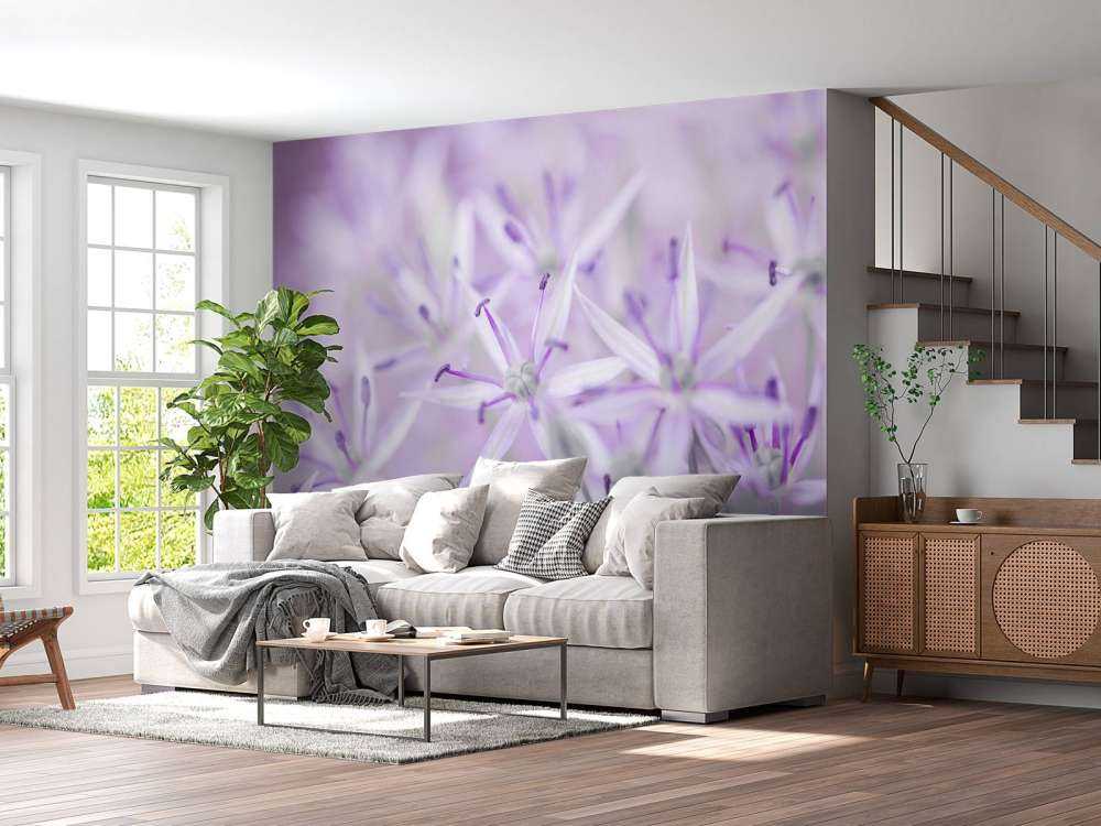 Primo piano di fiori di allium
