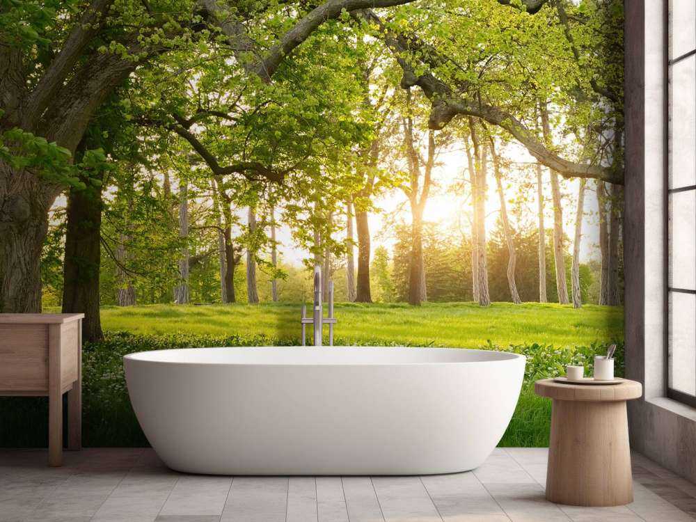 Spazio aperto nella foresta