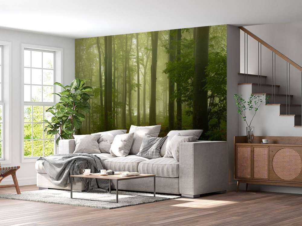 Sentiero attraverso la foresta verde nebbioso