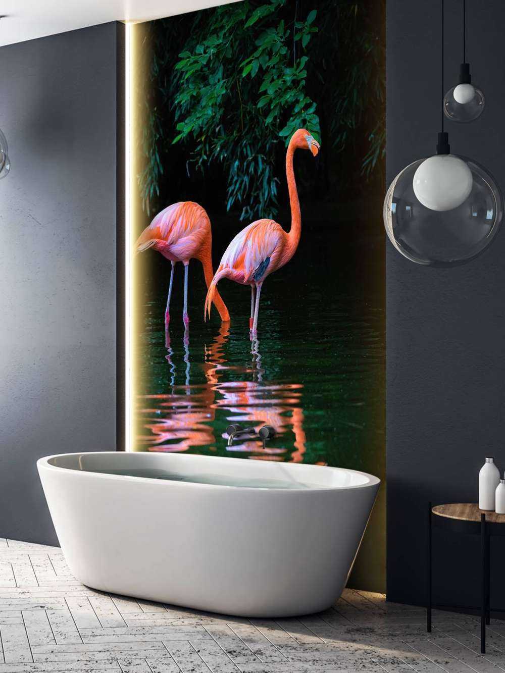 Due fenicotteri caraibici