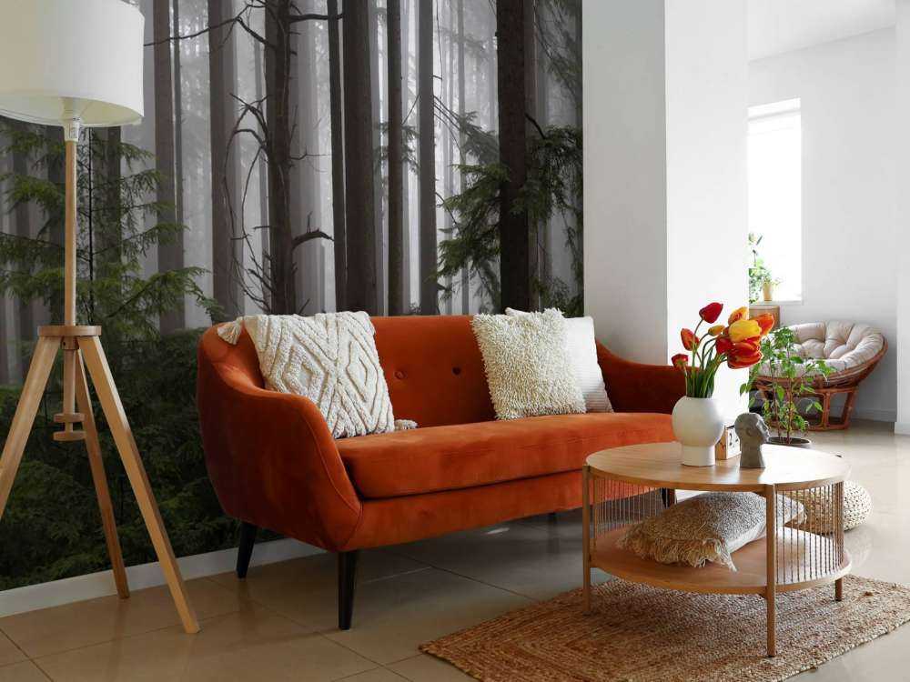 Foresta durante un giorno di nebbia