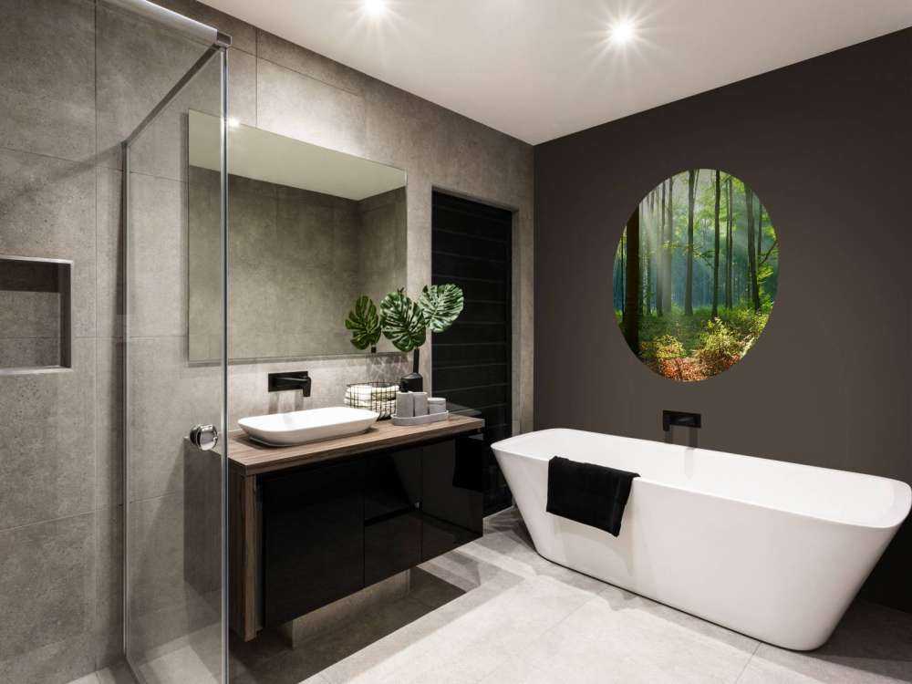 Mattina nella foresta