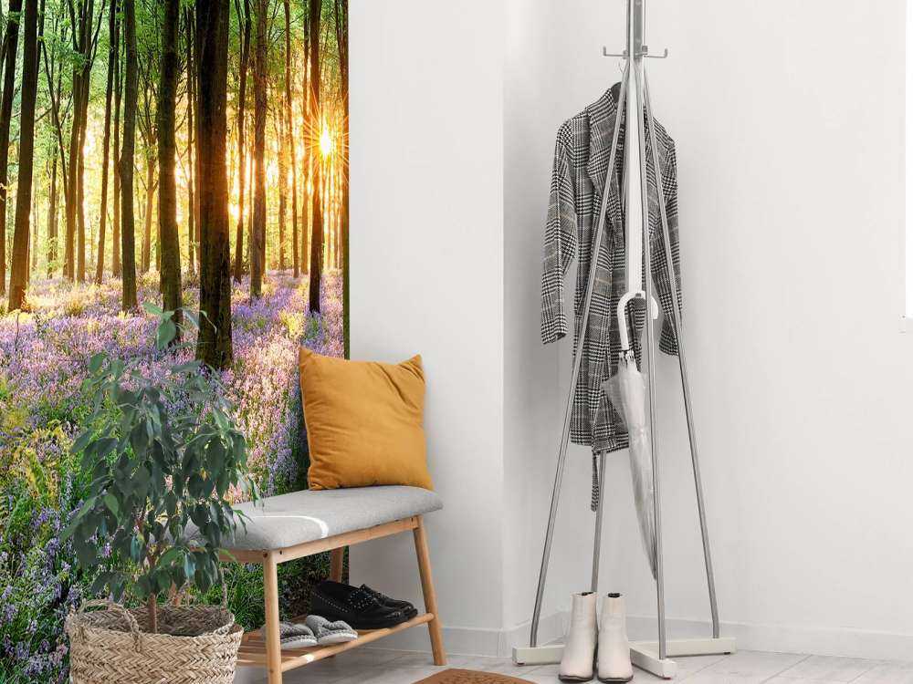 Sentiero della foresta all'alba