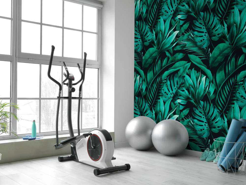 Diverse foglie verdi