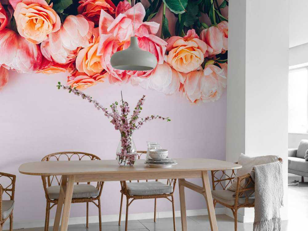 Rosas en diferentes tonos de rosa