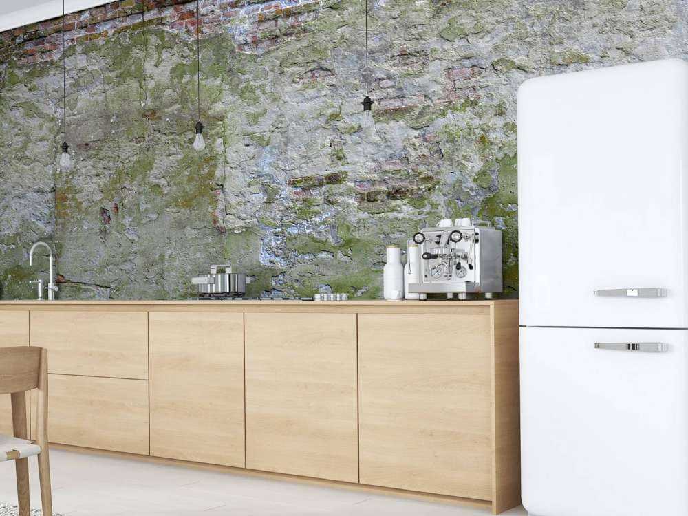 Muschio su un vecchio muro