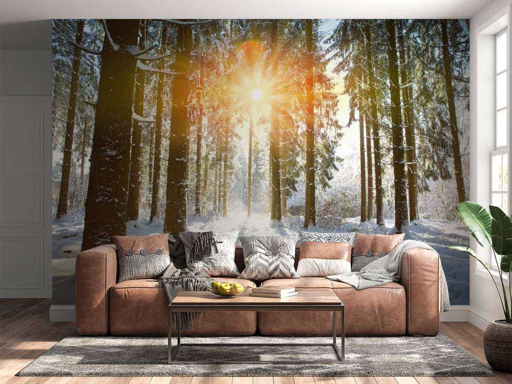 Luce del sole nella foresta d'inverno